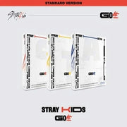 Stray kids 1st full album GO LIVE