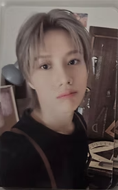 TAEMIN (SHINEE) 2026 Season's Greetings POB Photocard