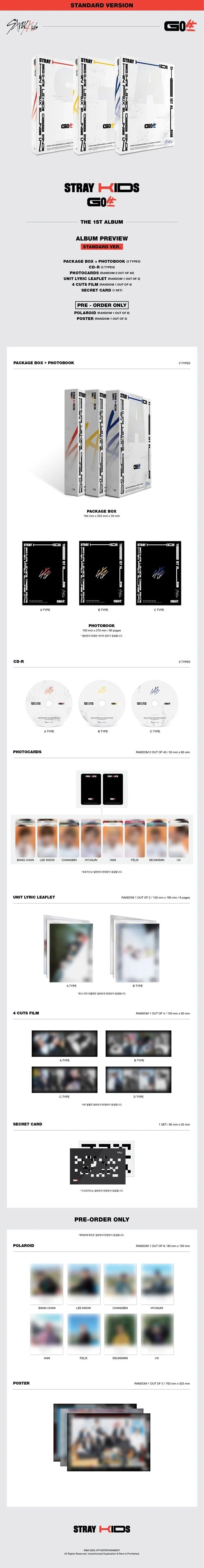 Stray kids 1st full album GO LIVE