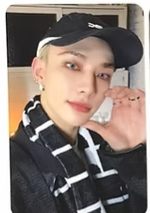 Stray Kids KARMA SKZOO POB Photocard