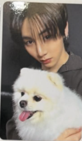BOYNEXTDOOR HOME Weverseshop POB Photocard