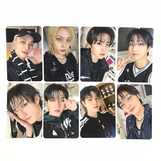 Stray Kids KARMA SKZOO POB Photocard