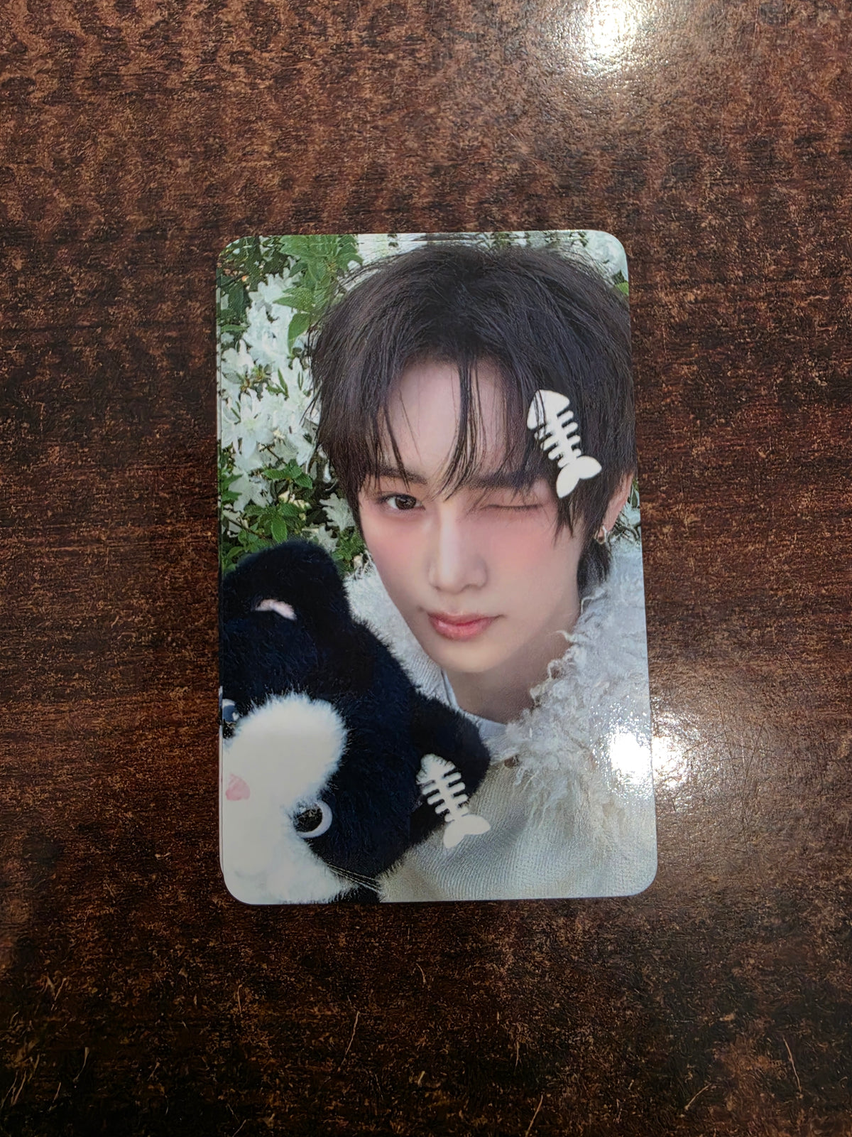 ALPHA DRIVE ONE 2nd mini album UNBREAKABLE : 少年BEAST Hellolive POB Photocard