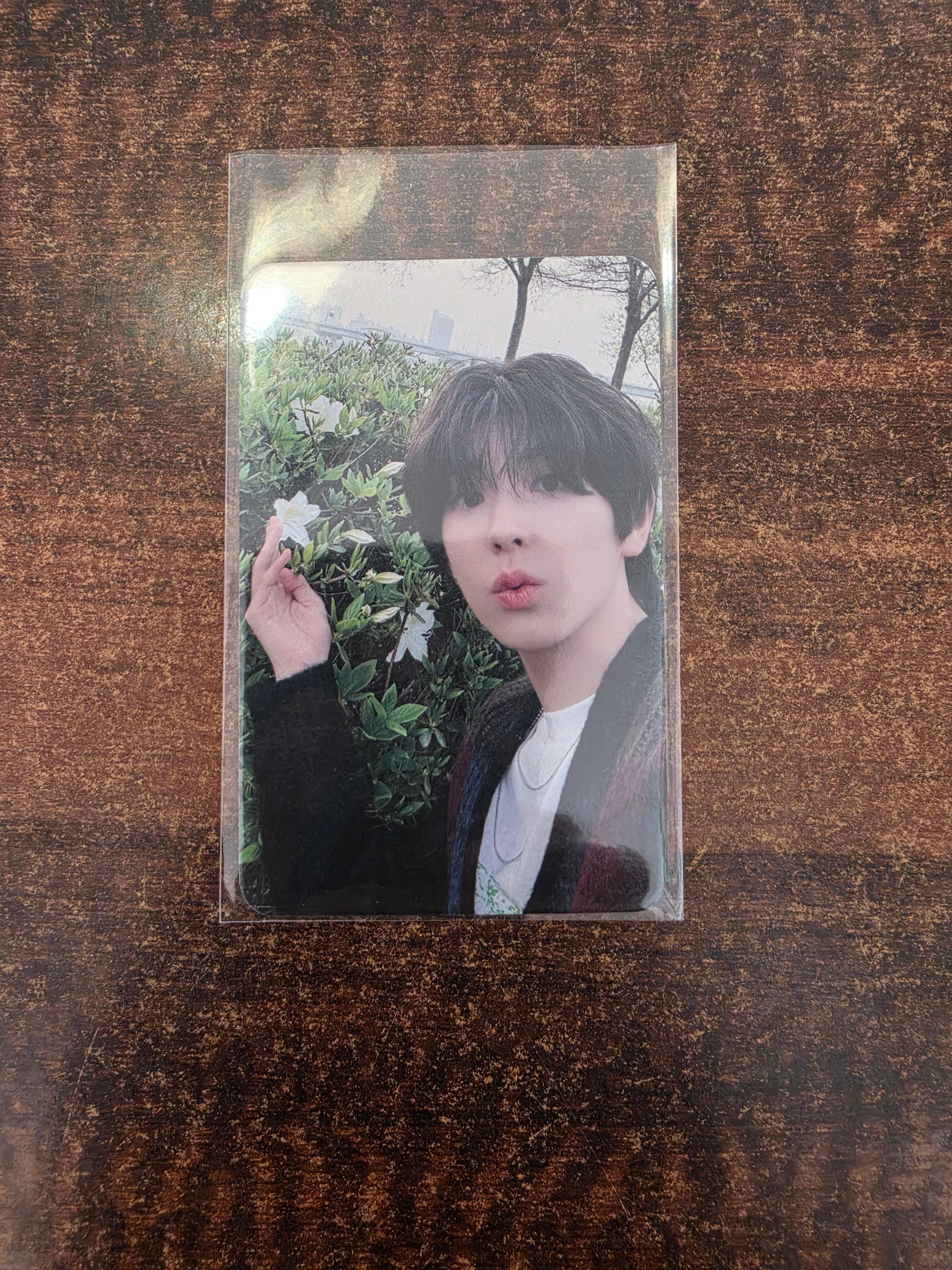 NEXZ RIDE THE VIBE Soundwave POB Photocard